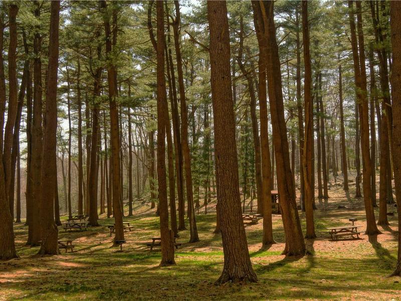 sudoku senior friendly screenshot 3